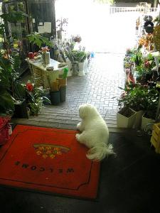 dscn3081