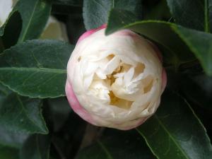 dscn3143
