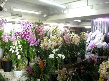 dscn3415